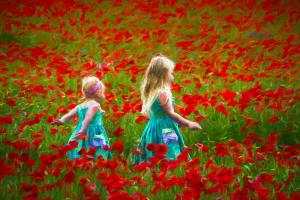 Two Sisters in Poppies
